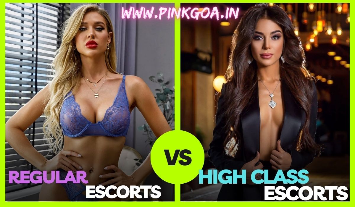 Regular and High Class Escorts
